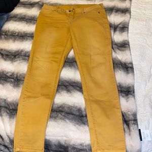 Woman’s Maurice’s Jeggings